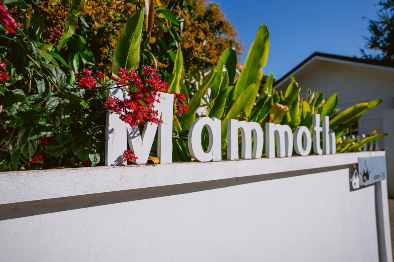 Mammoth Boutique Hotel Chiang Mai Bagian luar foto